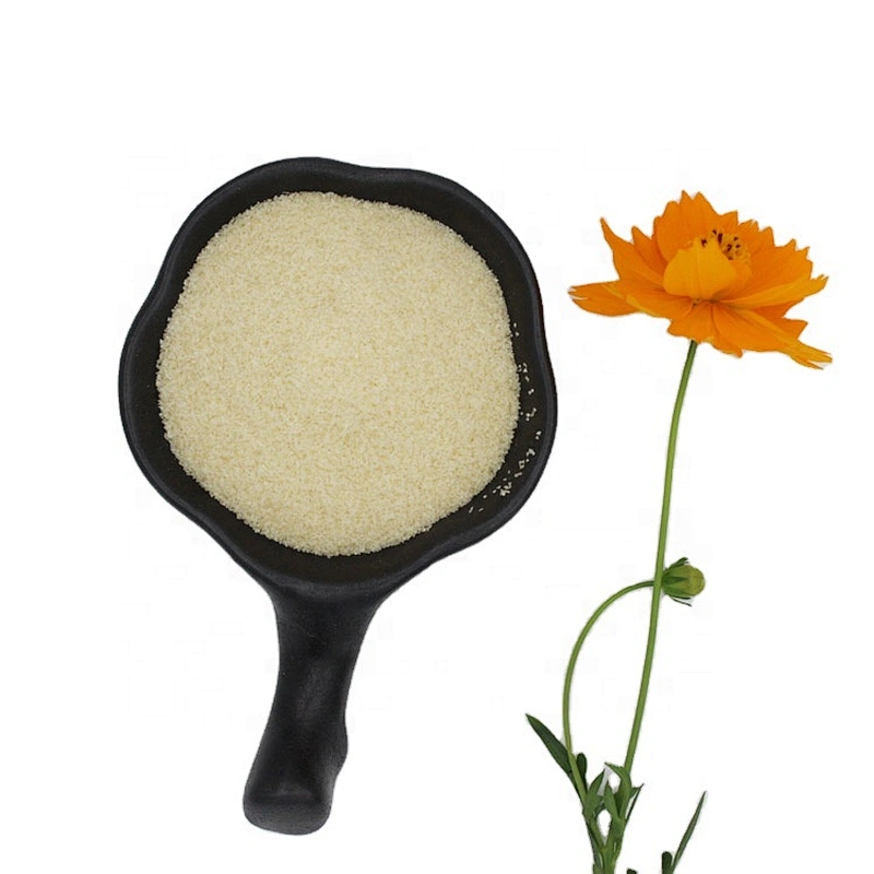 Food ingredients halal hydrolyzed bovine edible gelatin for food beverage